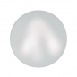 Swarovski 5818 Half-drilled Pearl 10mm Crystal Iridescent Dove Grey Pearl 1ks