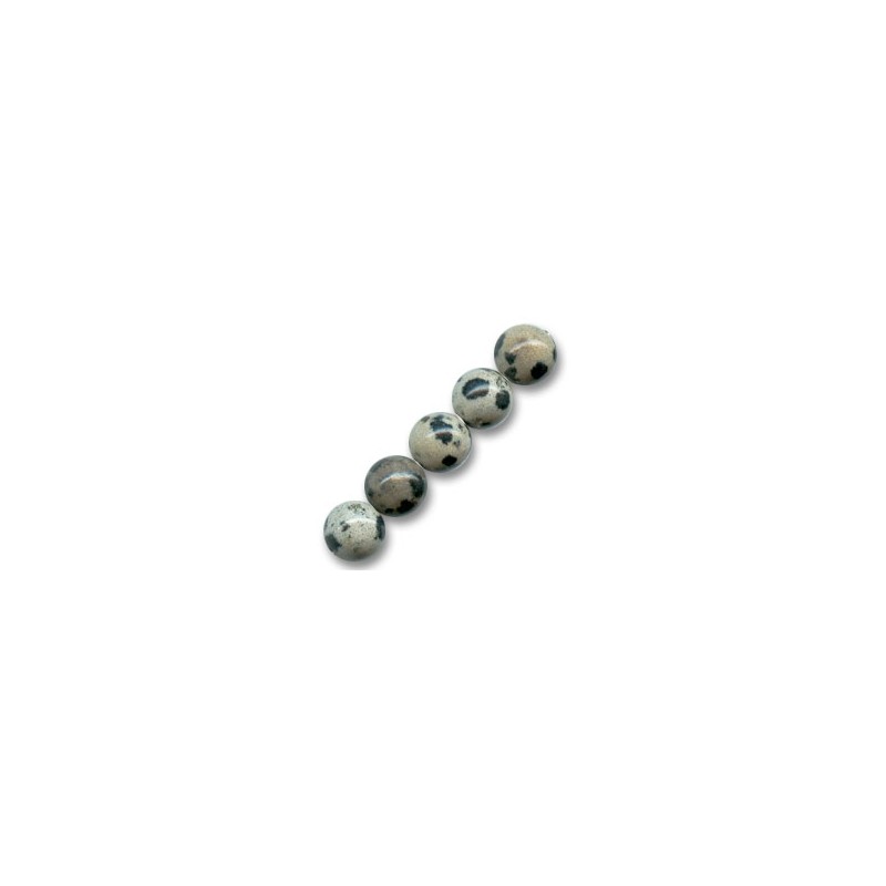 Jaspis Dalmatian 8mm x 10ks Jaspis Dalmatian 8mm x 10ks