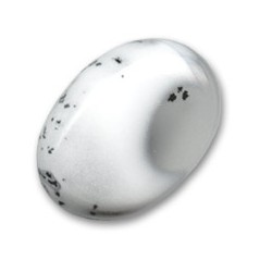 Dendrit oválny kabošon 18x13mm x 1ks