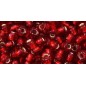 TOHO Round Beads 6/0 Silver-Lined Ruby - 10g