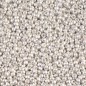 Miyuki Seed Beads 11/0 Mat Bright Sterling Silver Plated - 5g