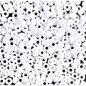 Miyuki Round Beads 11/0 Opaque White - 8g