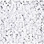 Miyuki Round Beads 15/0 White - 8g