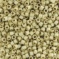 MIYUKI Delica 11/0 Galvanized Silver Mat - 8g