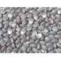 PINCH Beads (POHANKA) 5x3mm Chalk White Iris - 10g
