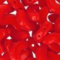 Arcos® by Puca® 10x5mm Red Coral x 10g