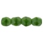 Ohňovky 3mm Opaque Green w/Black x 40ks