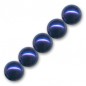 Voskované perly 4mm Marine Blue x 100ks