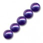 Voskované perly 6mm Dark Purple x 50ks