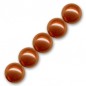Voskované perly 6mm Red Copper x 50ks