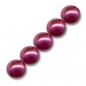 Voskované perly 6mm Red x 50ks