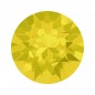 Swarovski 1088 Xirius Chaton 8mm Yellow Opal
